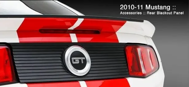 3dCarbon Mustang Blackout Panel