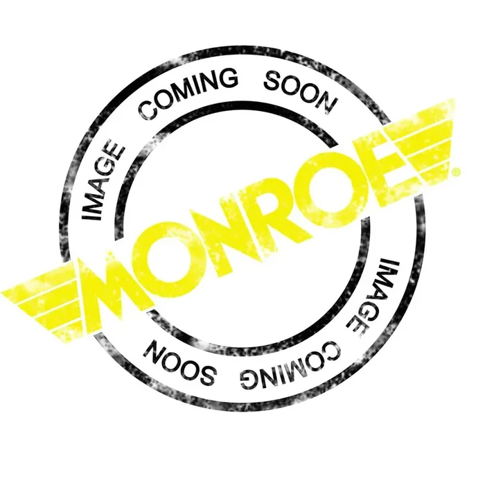 Monroe/Expert Series Rs999272 Auto Part