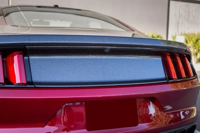 TruCarbon 2015-2020 Mustang Carbon Fiber LG245 Blackout Panel – TC10026-LG245